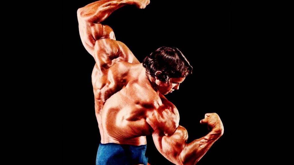 arnold press exercise guide
